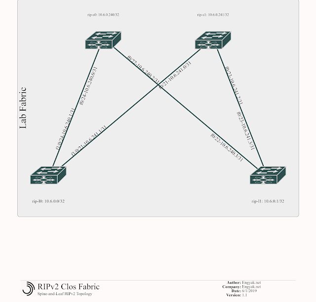 RIPv2 Fabric